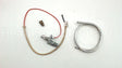 100111380 Lochinvar & A.o. Smith Natural Pilot Assy W/Tubing