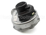 100144984 Lochinvar & A.o. Smith Fan Assembly