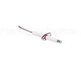 100165931 Lochinvar & A.o. Smith Flame Sensor W/Gasket