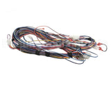 100173240 Lochinvar & A.o. Smith Harnesswire24Vpb/Pf