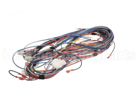 100173240 Lochinvar & A.o. Smith Harnesswire24Vpb/Pf