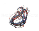 100173240 Lochinvar & A.o. Smith Harnesswire24Vpb/Pf
