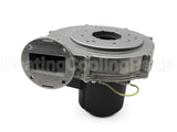 100187864 Lochinvar & A.o. Smith Blower Assembly