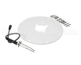 100187881 Lochinvar & A.o. Smith Spark Ignitor Assembly