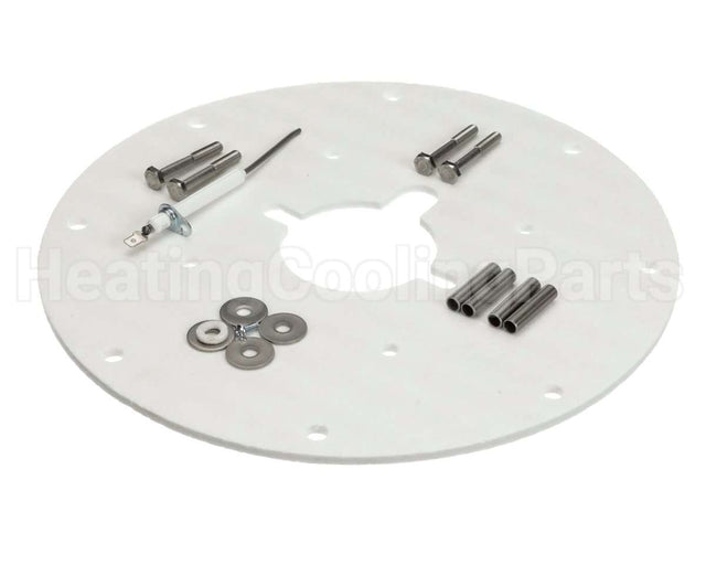 100187882 Lochinvar & A.o. Smith Flame Sensor