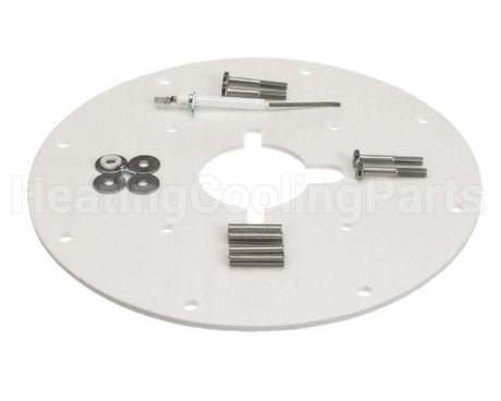 100187882 Lochinvar & A.o. Smith Flame Sensor