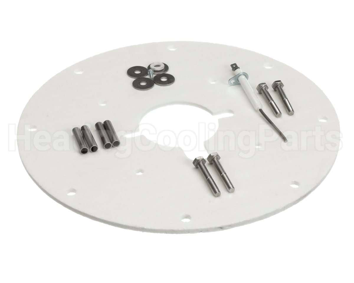 100187882 Lochinvar & A.o. Smith Flame Sensor