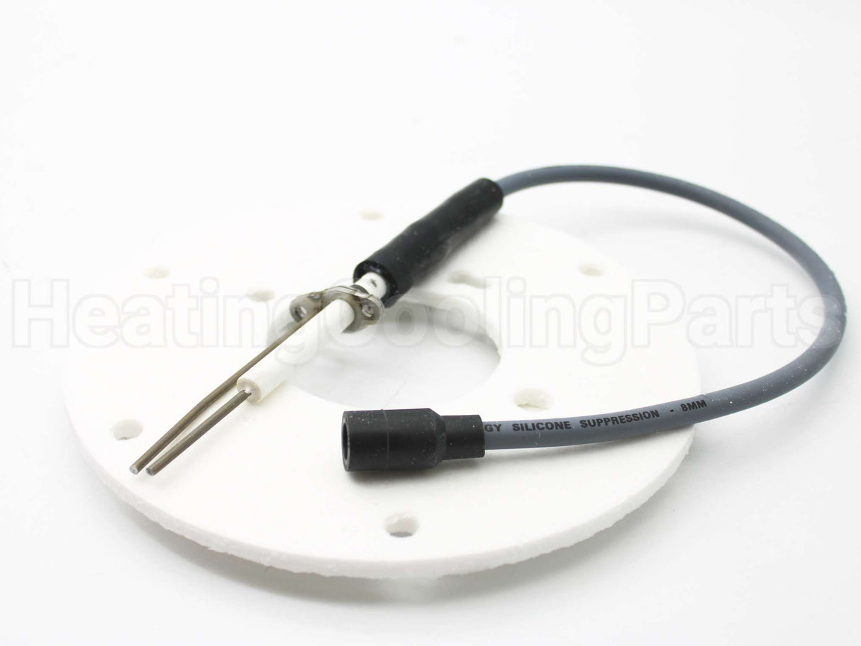 100191120 Lochinvar & A.o. Smith Spark Ignitor Assembly