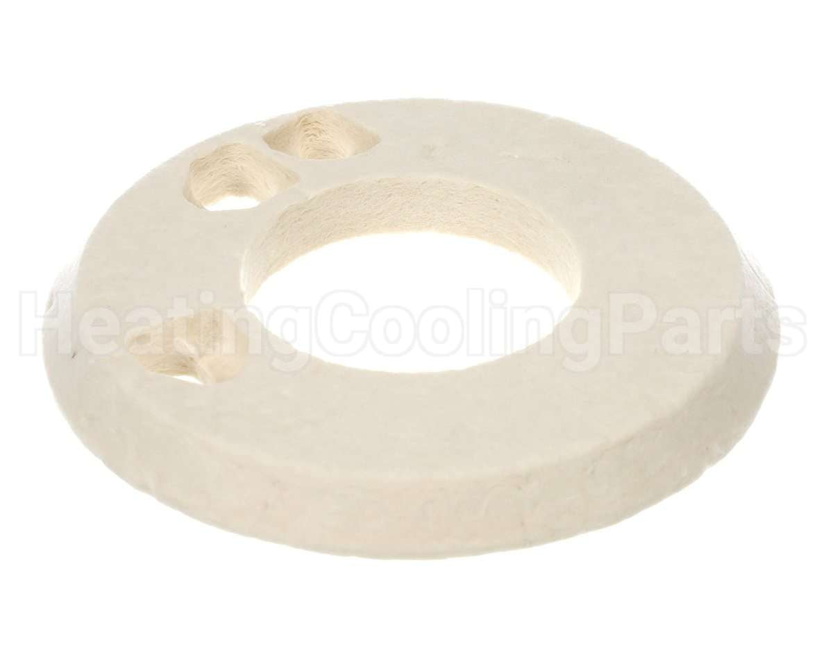 100208059 Lochinvar & A.o. Smith Door Insulation