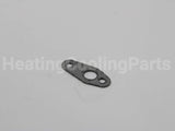 100208091 Lochinvar & A.o. Smith Flame Sensor Gasket Kit
