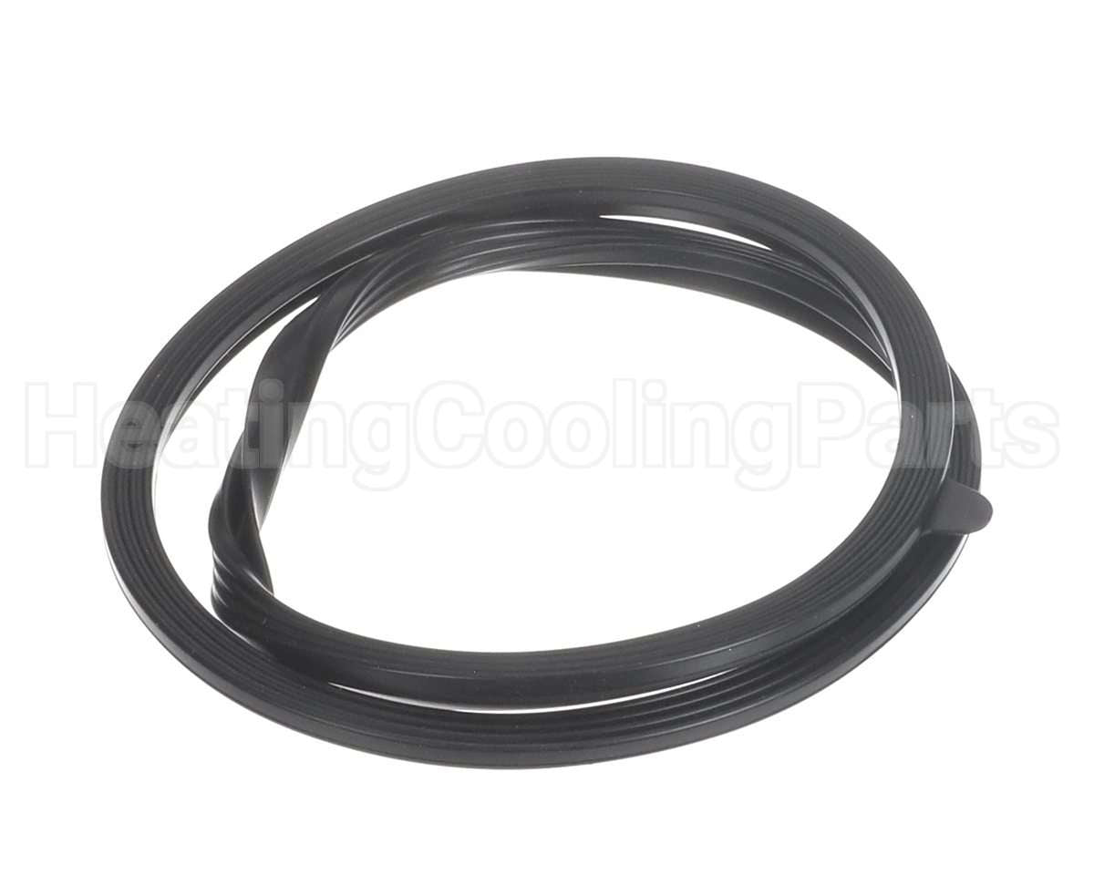 100208093 Lochinvar & A.o. Smith Door Gasket
