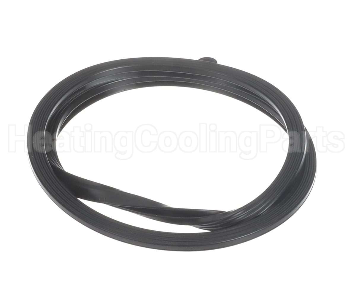 100208093 Lochinvar & A.o. Smith Door Gasket