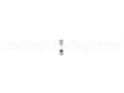 100208231 Lochinvar & A.o. Smith 3.15 Amp Fuse
