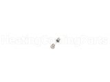 100208231 Lochinvar & A.o. Smith 3.15 Amp Fuse