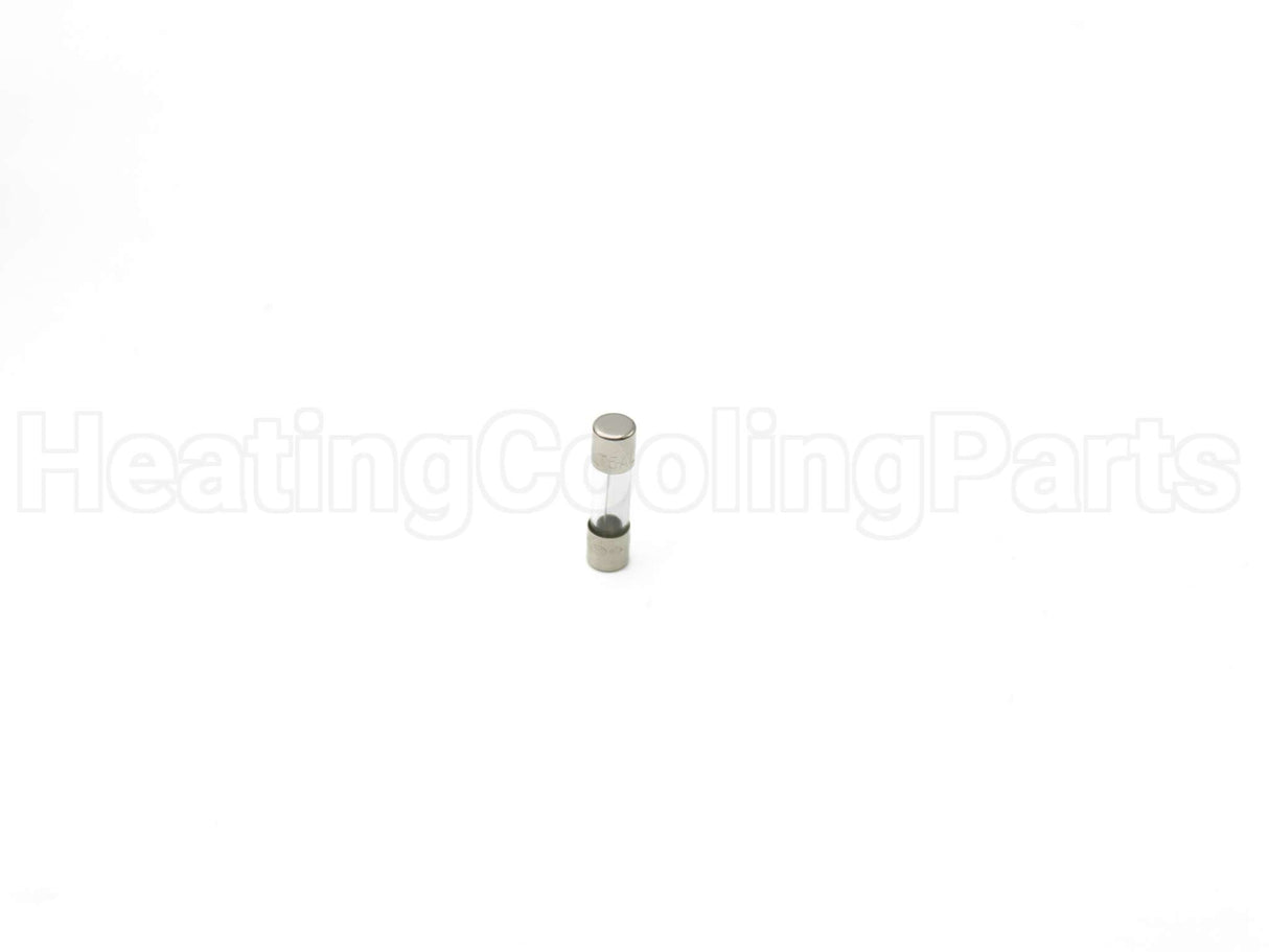 100208232 Lochinvar & A.o. Smith 5 Amp Fuse