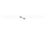 100208232 Lochinvar & A.o. Smith 5 Amp Fuse