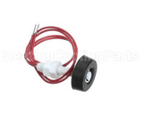 100208243 Lochinvar & A.o. Smith Blocked Drain Switch
