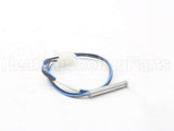 100208557 Lochinvar & A.o. Smith Dual Outlet Sensor
