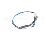 100208557 Lochinvar & A.o. Smith Dual Outlet Sensor
