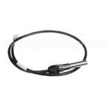 100208559 Lochinvar & A.o. Smith Dual Immersion Sensor, Outlet