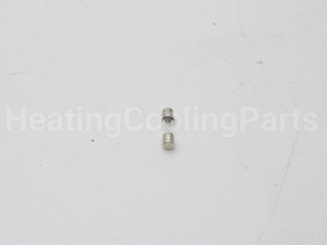 100208807 Lochinvar & A.o. Smith 1.25 Amp Fuse