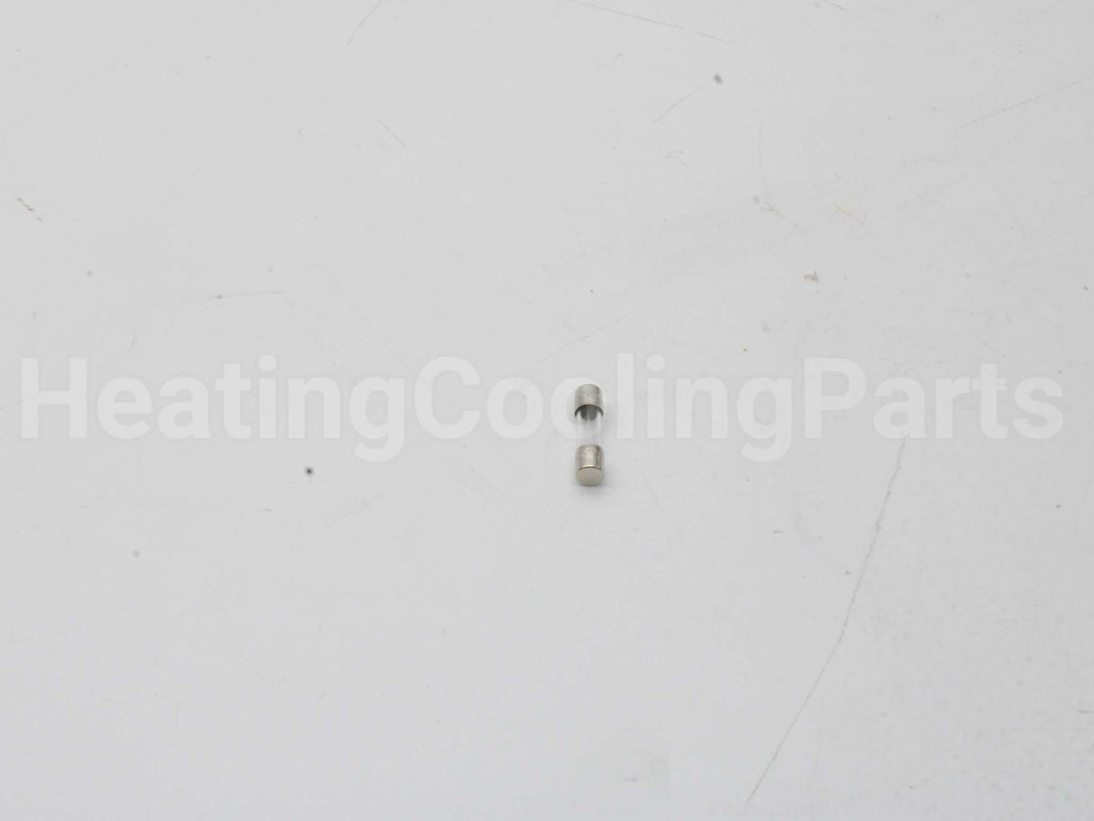 100208807 Lochinvar & A.o. Smith 1.25 Amp Fuse