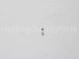 100208807 Lochinvar & A.o. Smith 1.25 Amp Fuse