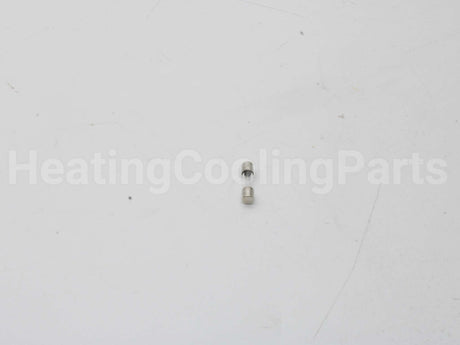 100208807 Lochinvar & A.o. Smith 1.25 Amp Fuse