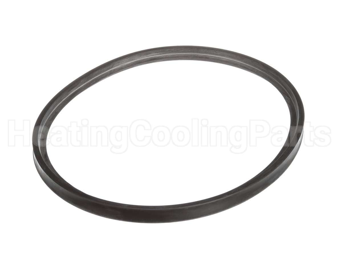 100233597 Lochinvar & A.o. Smith Flue Gasket