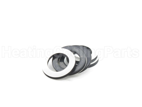 100233625 Lochinvar & A.o. Smith Gasket Kit