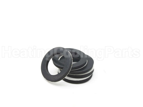 100233625 Lochinvar & A.o. Smith Gasket Kit