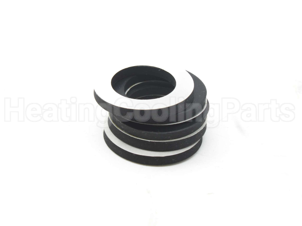 100233625 Lochinvar & A.o. Smith Gasket Kit