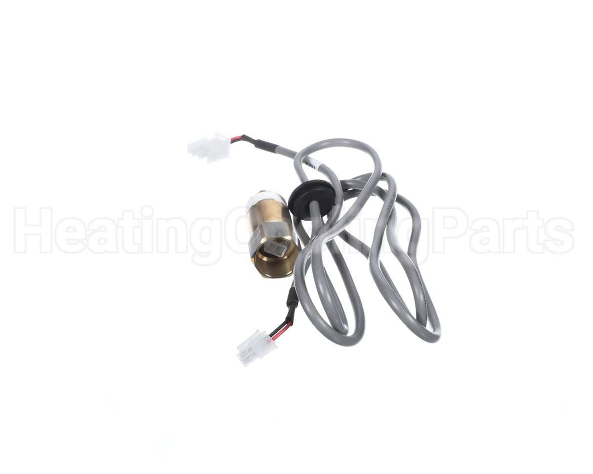 100271886 Lochinvar & A.o. Smith Connector Probe Lower