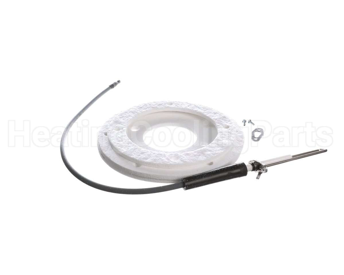 100271888 Lochinvar & A.o. Smith Spark Ignitor Assembly