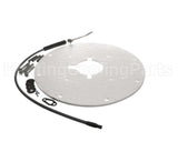 100271889 Lochinvar & A.o. Smith Spark Rod Assembly