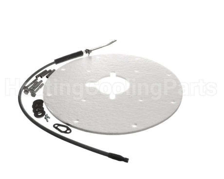 100271889 Lochinvar & A.o. Smith Spark Rod Assembly