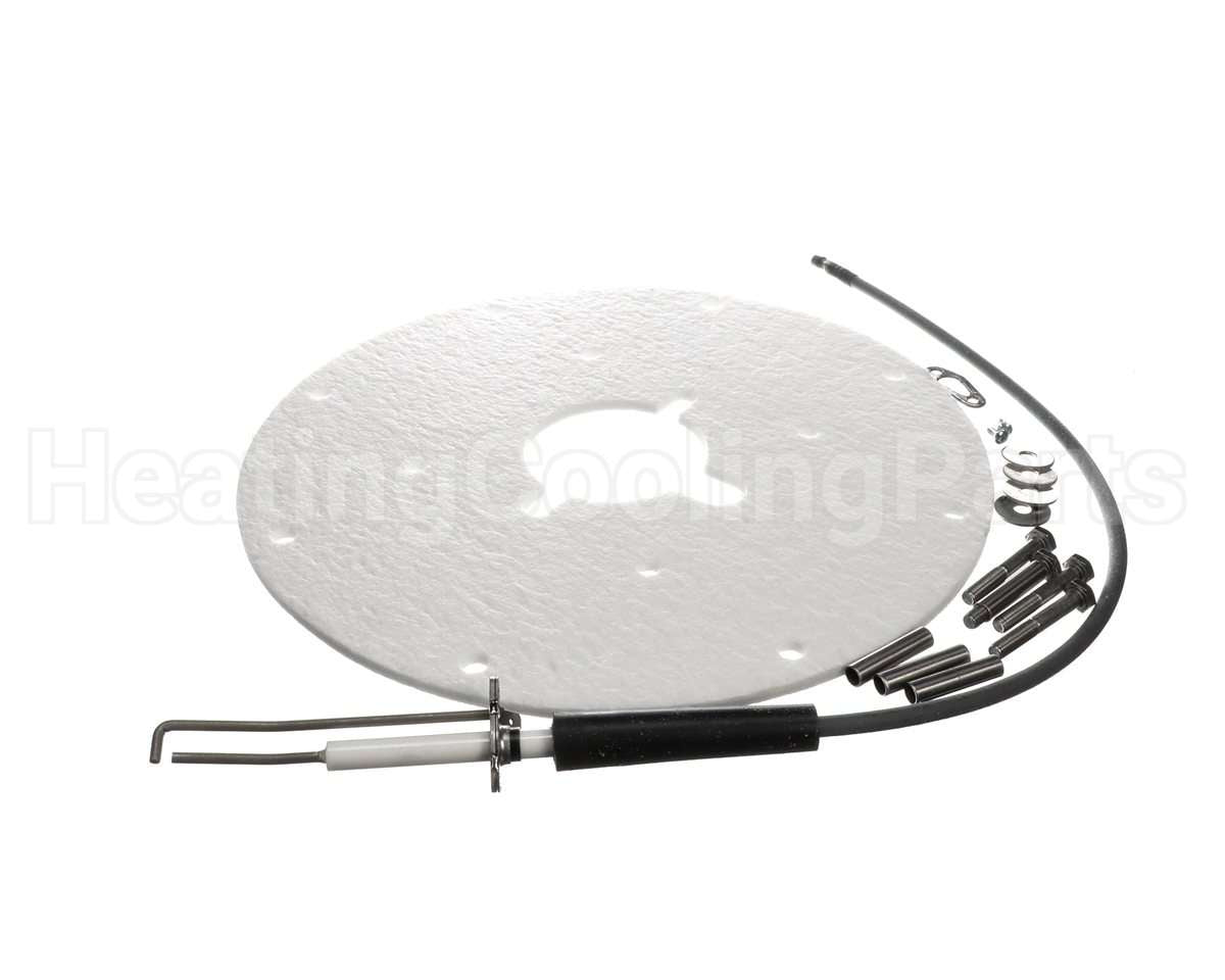 100271889 Lochinvar & A.o. Smith Spark Rod Assembly