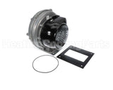 100274101 Lochinvar & A.o. Smith Fan Assembly