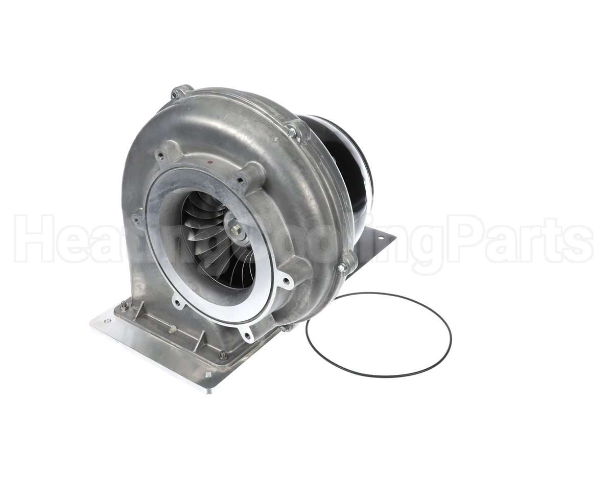 100274101 Lochinvar & A.o. Smith Fan Assembly