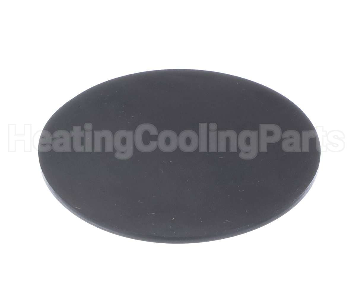100338896 Lochinvar & A.o. Smith Condensate Trap Gasket Epdm