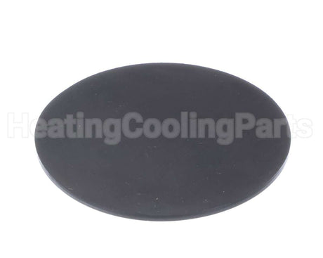100338896 Lochinvar & A.o. Smith Condensate Trap Gasket Epdm