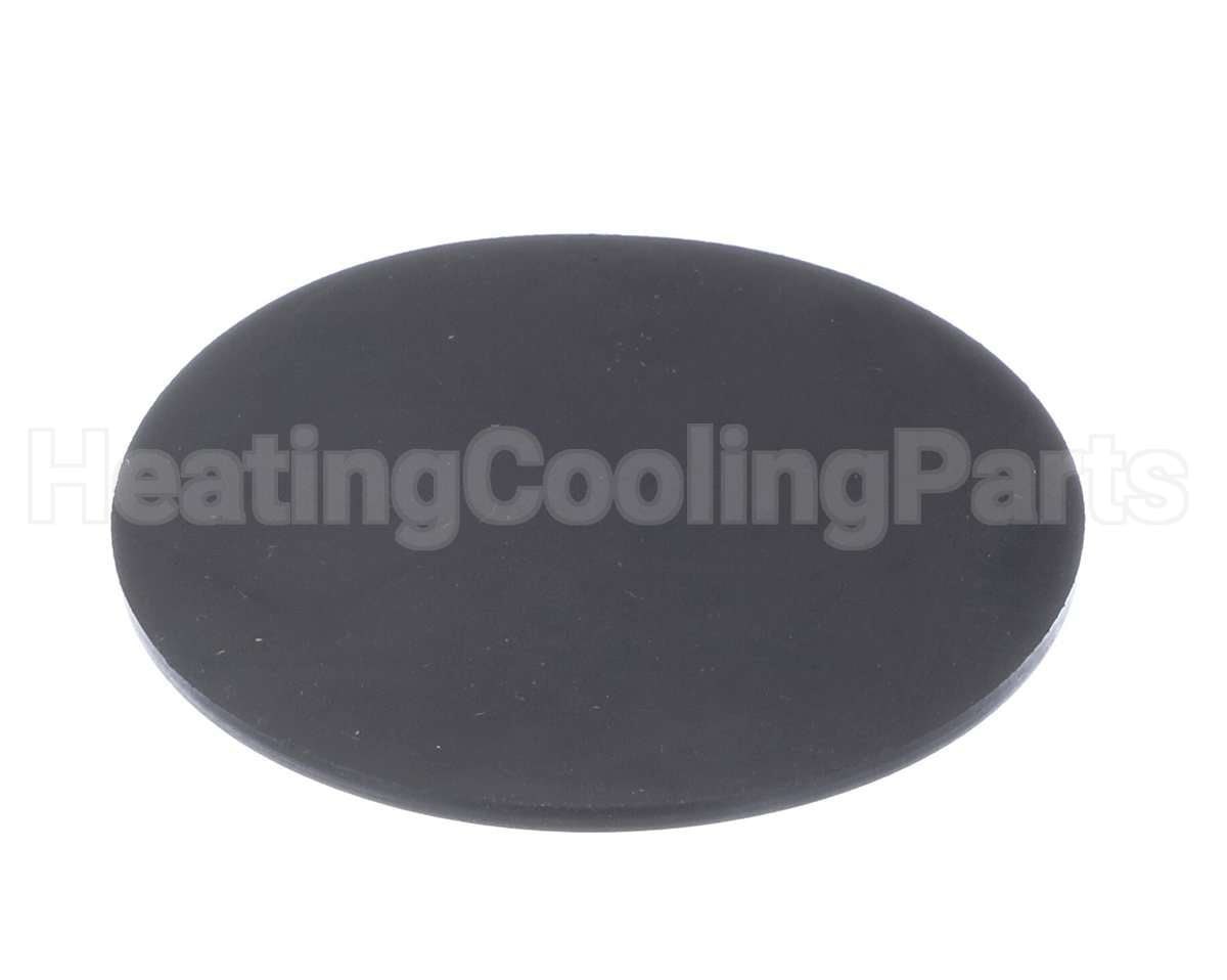 100338896 Lochinvar & A.o. Smith Condensate Trap Gasket Epdm
