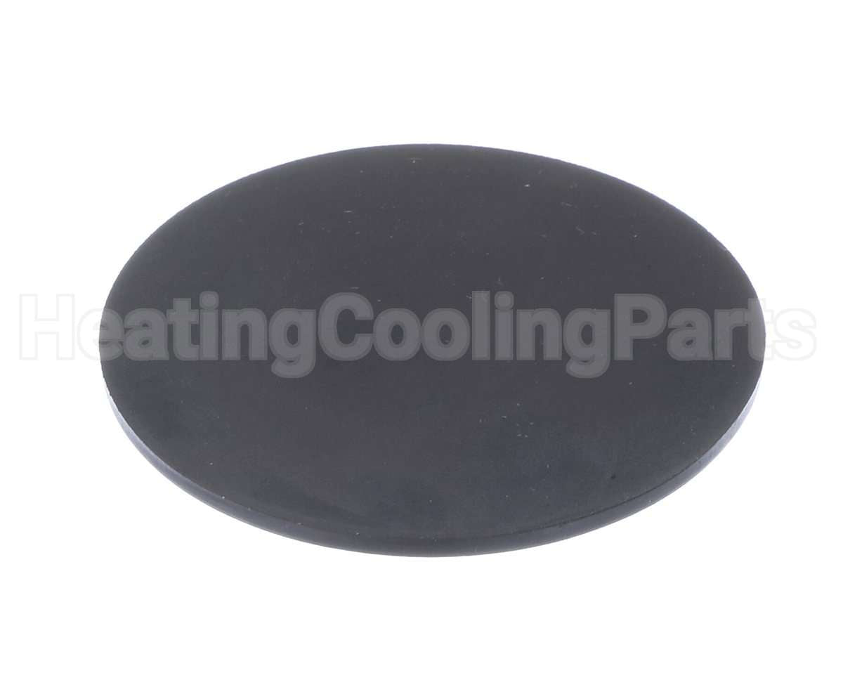100338896 Lochinvar & A.o. Smith Condensate Trap Gasket Epdm