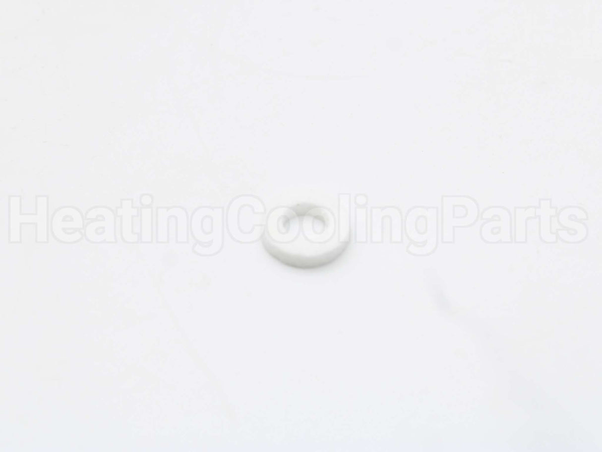 100338897 Lochinvar & A.o. Smith Flame Rod Gasket