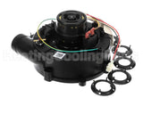 1003442 Nordyne Inducer Assembly