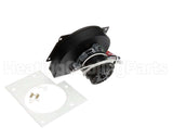 1006168 International Comfort Products Draft Inducer Assembly