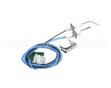 1009524 International Comfort Products Ignitor/Flame Sensor Combo