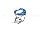 1009524 International Comfort Products Ignitor/Flame Sensor Combo