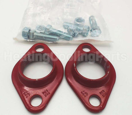 101003 Xylem-Bell & Gossett Std Flg. 1 1/4" (1 Set)