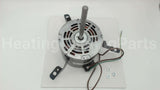 10151202 Titus Hvac 1/3Hp 277V Ccw Right Hand Mtr